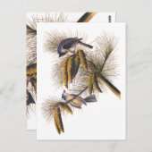 松の木にオードボンのトキ ポストカード (正面/裏面)