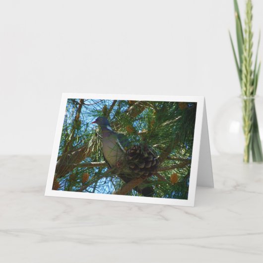 松の木にハト カード (正面)