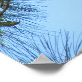 松の木のオスプレイ ポスター (角)