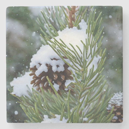 松の木のクリスマスホリデーに雪の中のピネコン ストーンコースター (正面)