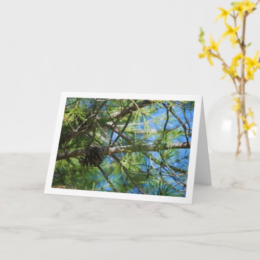 松の木のトウ カード (黄色い花)