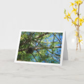 松の木のトゲ カード (黄色い花)