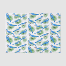 松の木のユニークな鳥のかわいらしいBlue Jays