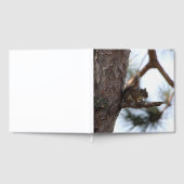 松の木のリス ゲストブック (全面)