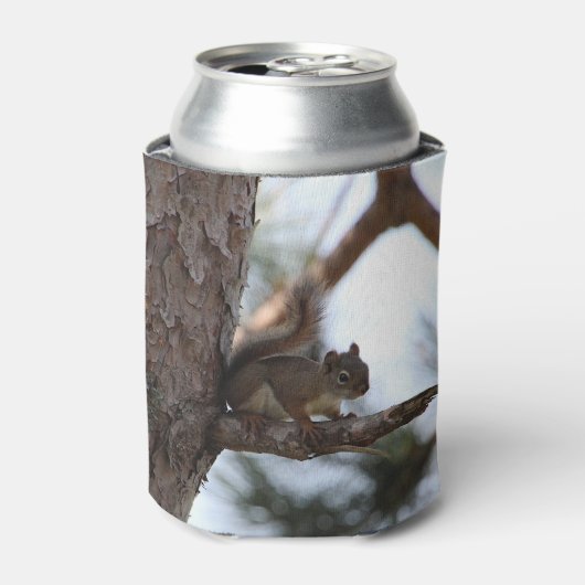 松の木のリス 缶クーラー (缶正面)