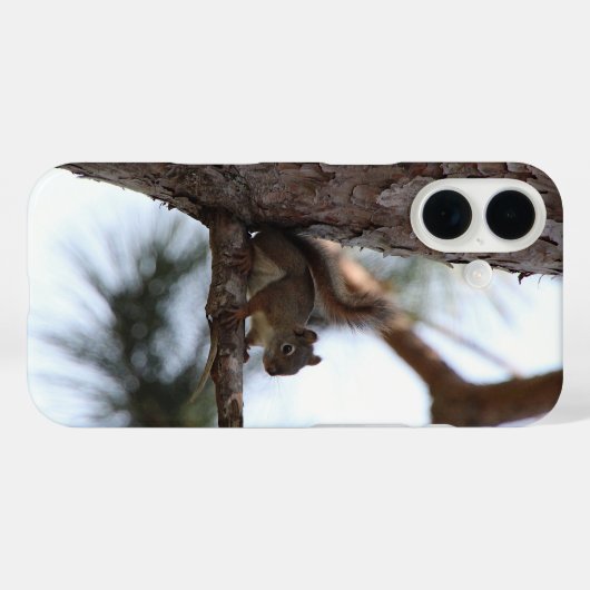 松の木のリス Case-Mate iPhoneケース (裏面 (横))