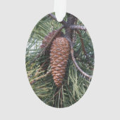 松の木の上のピネコン オーナメント (裏面)