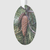 松の木の上のピネコン オーナメント (正面)