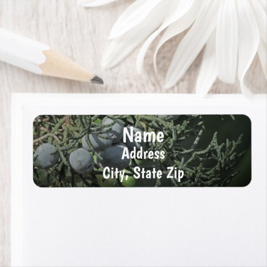 松の木の実の自然の写素朴真アドレス ラベル (インサイチュ)