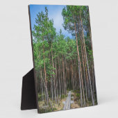 松の木の小道 フォトプラーク (側面)