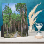 松の木の小道 フォトプラーク (側面)