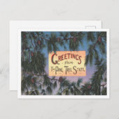 松の木の州、メイン旅行からの挨拶 ポストカード (正面/裏面)