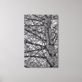 松の木の方向 キャンバスプリント