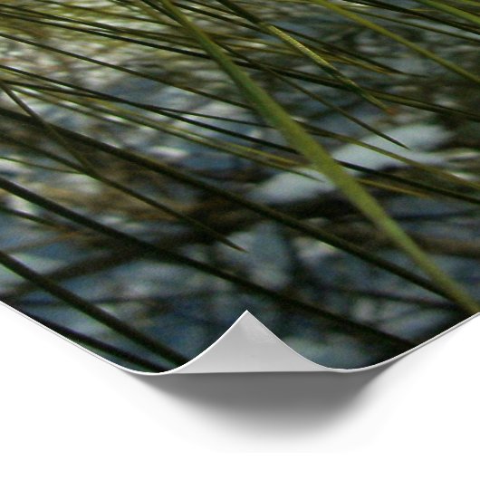 松の木の枝に雪 ポスター (角)