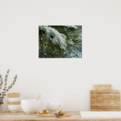 松の木の枝に雪 ポスター (キッチン)