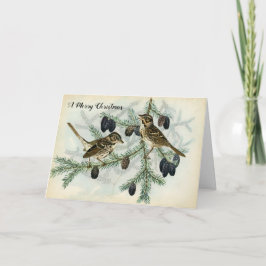 松の木の枝休日のクリスマスのすずめ シーズンカード
