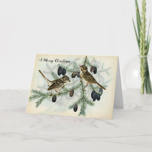 松の木の枝休日のクリスマスのすずめ シーズンカード (正面)