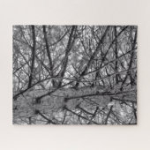 松の木の枝（白黒） ジグソーパズル (横)