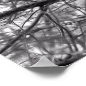 松の木の枝（白黒） ポスター (角)