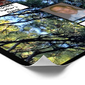 松の木の森の写真2つの家族の木ポスター ポスター (角)