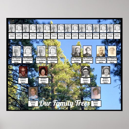 松の木の森の写真2つの家族の木ポスター ポスター (正面)