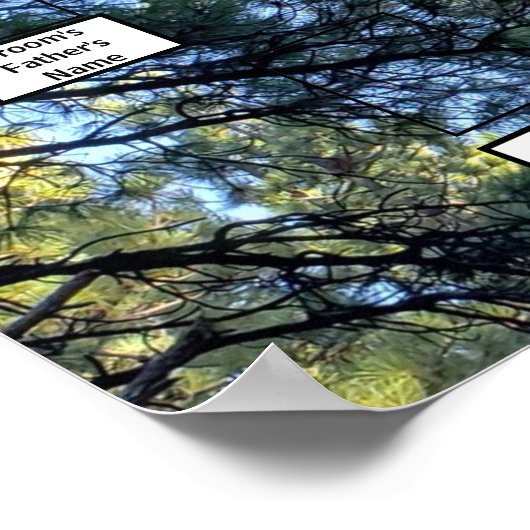 松の木の森の写真2家族 ポスター (角)