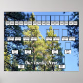 松の木の森の写真2家族 ポスター (正面)