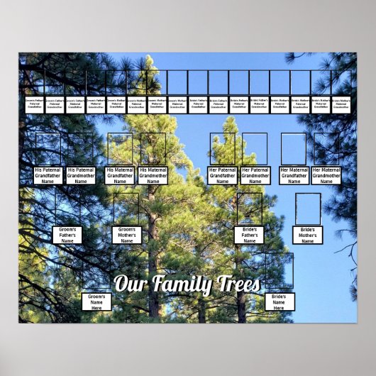 松の木の森の写真2家族 ポスター (正面)