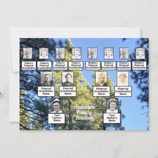 松の木の森の写真　３世代家族の再会 招待状 (正面)