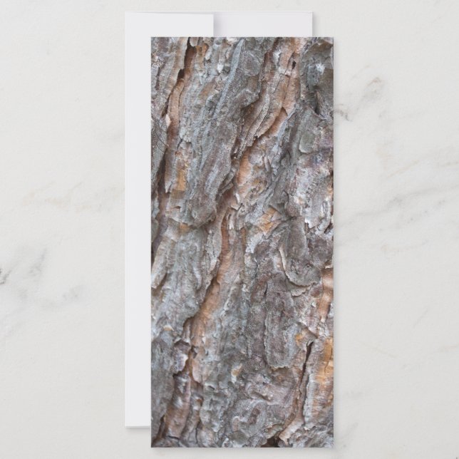 松の木の樹皮 (正面)