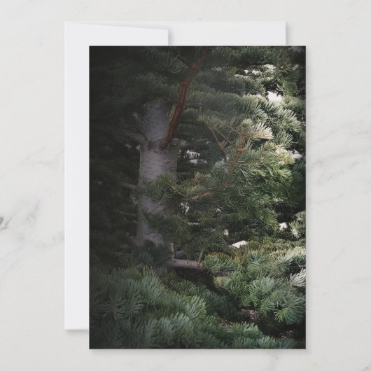 松の木の田舎の森のウェディング招待状 招待状 (裏面)