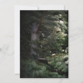松の木の素朴な森のウェディング招待状 招待状 (裏面)