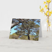 松の木の絡まった枝の奇妙な視点 カード (黄色い花)