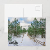 松の木の雪に覆われた遊歩道の眺め ポストカード (正面/裏面)