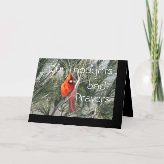 松の木の(鳥)ショウジョウコウカンチョウは大事な行事をカスタマイズ カード (正面)