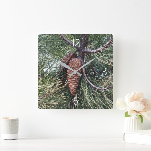 松の木のPinecone スクエア壁時計 (ホーム)