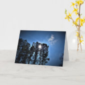 松の木を通る日光、カード カード (黄色い花)