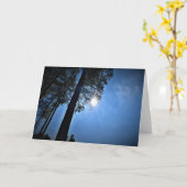 松の木を通る日光、カード カード (黄色い花)