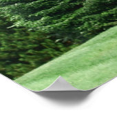 松の木景色 ポスター (角)