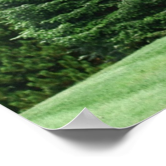 松の木景色 ポスター (角)