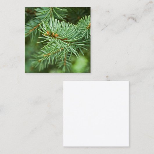 松の木 スクエア名刺 (正面/裏面)