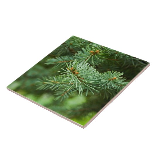 松の木 タイル (側面)