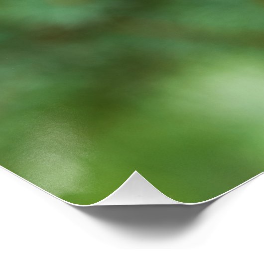 松の木 ポスター (コーナー)