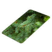 松の木 マグネット (左側)