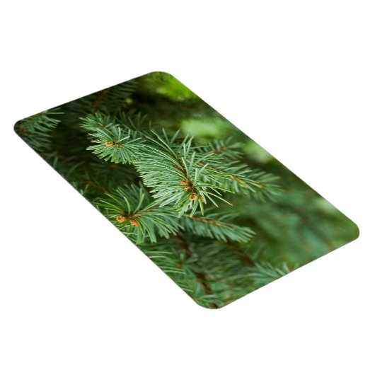 松の木 マグネット (右側)