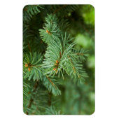 松の木 マグネット (縦)