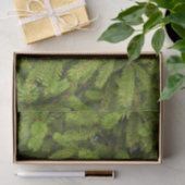 松の木 薄葉紙 (ギフト)