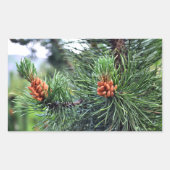 松の木 長方形シール (正面)