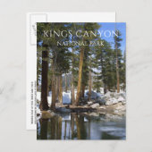 松の木、雪、セコイア湖、キングスキャニオンNP ポストカード (正面/裏面)