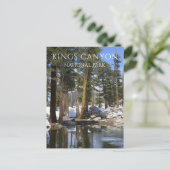 松の木、雪、セコイア湖、キングスキャニオンNP ポストカード (スタンド正面)